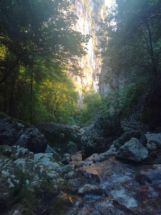 Gite Sechoir Du Nan Cognin-les-Gorges Buitenkant foto